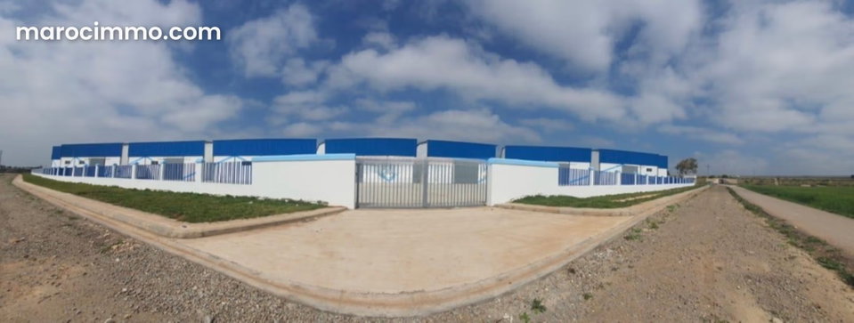Logistics Park from 482m² to 774m² in El Jadida