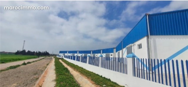 Logistics Park from 482m² to 774m² in El Jadida — 2