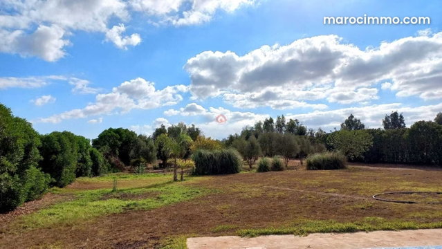 Sale of Farm in Sidi Rahal — 3