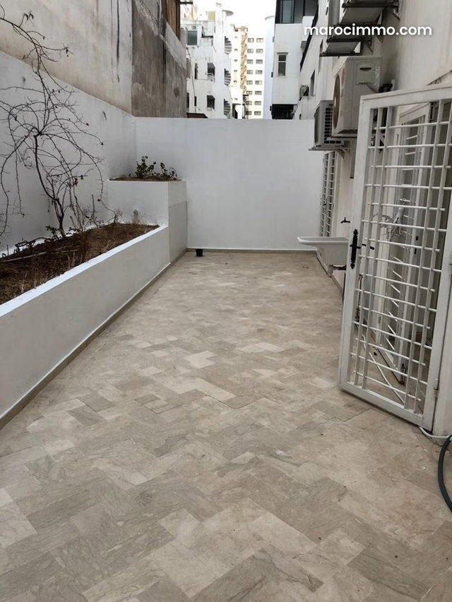 Belle rue de racine — 2