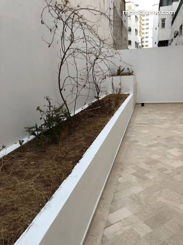 Belle rue de racine — 3