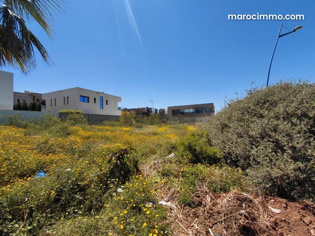 1,000 m² Corner Plot, Dar Bouazza, First-Line Oceanfront — Dar Bouazza