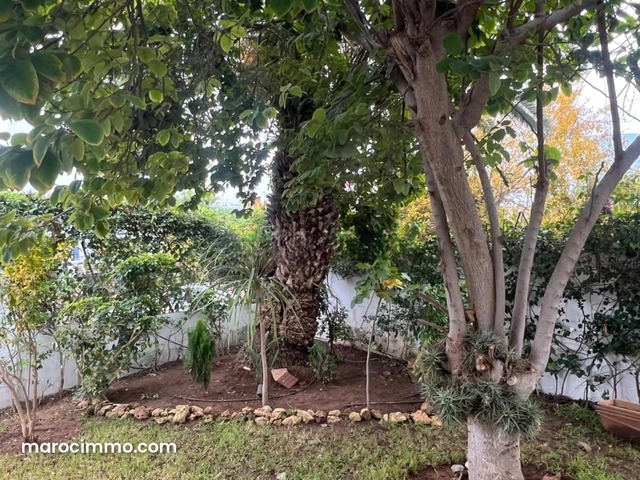 Vente de terrain à Riyad. Surface de 780 m² — Rabat