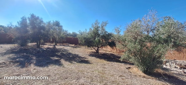 Titled Land in Douar Benrahmou on the Road to Casa — 2