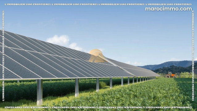 Ferme agricole titrée à vendre – 11 Ha 20 Ares – 7 titres fonciers – Shoul, Salé Rabat — 3
