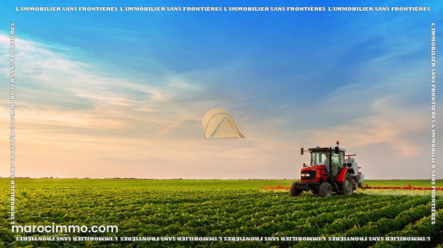 Ferme agricole titrée à vendre – 11 Ha 20 Ares – 7 titres fonciers – Shoul, Salé Rabat — 2