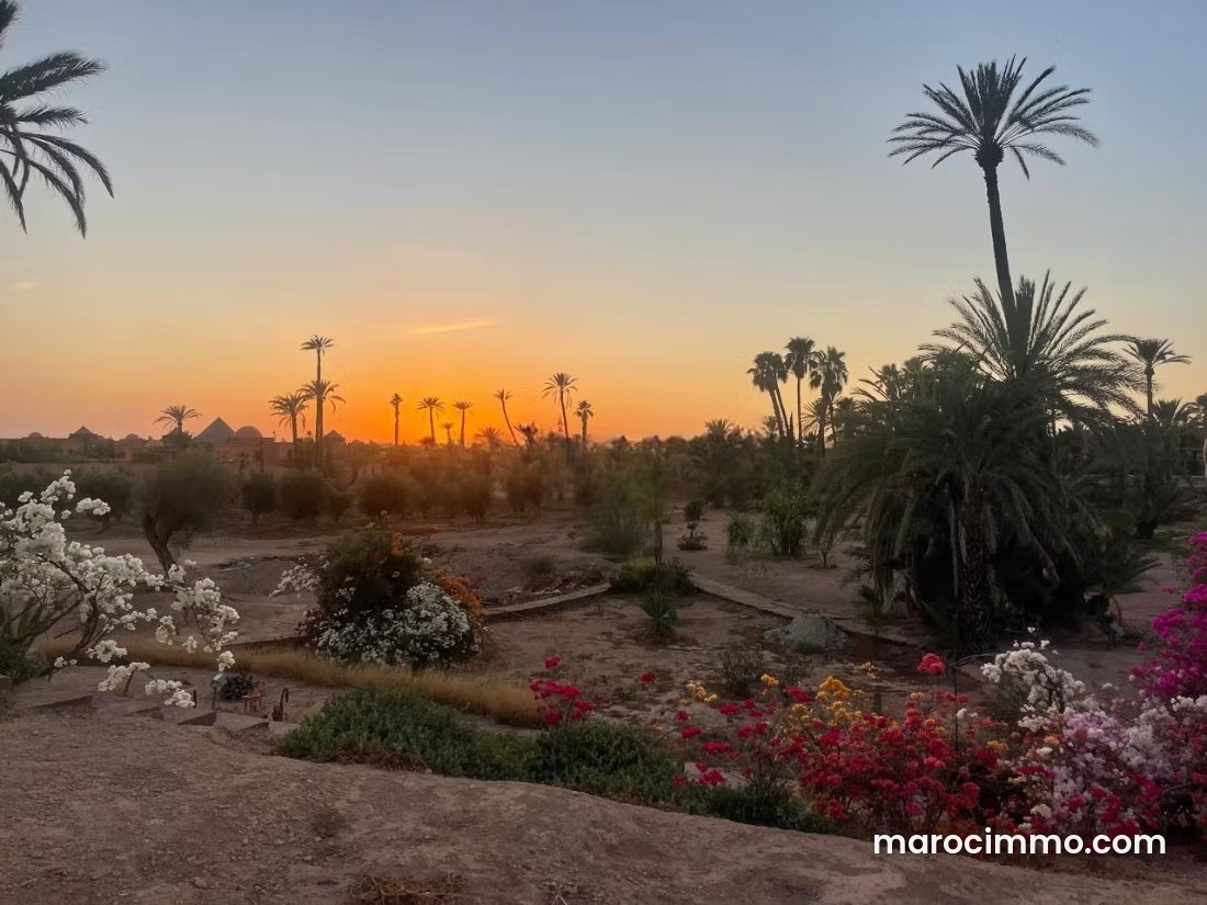 Terrain de 1,6 hectare, Palmeraie de Marrakech, domaine sécurisé — Marrakech