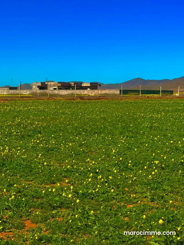 Exceptional Land in Marrakech on the Route de Bourrous — 5