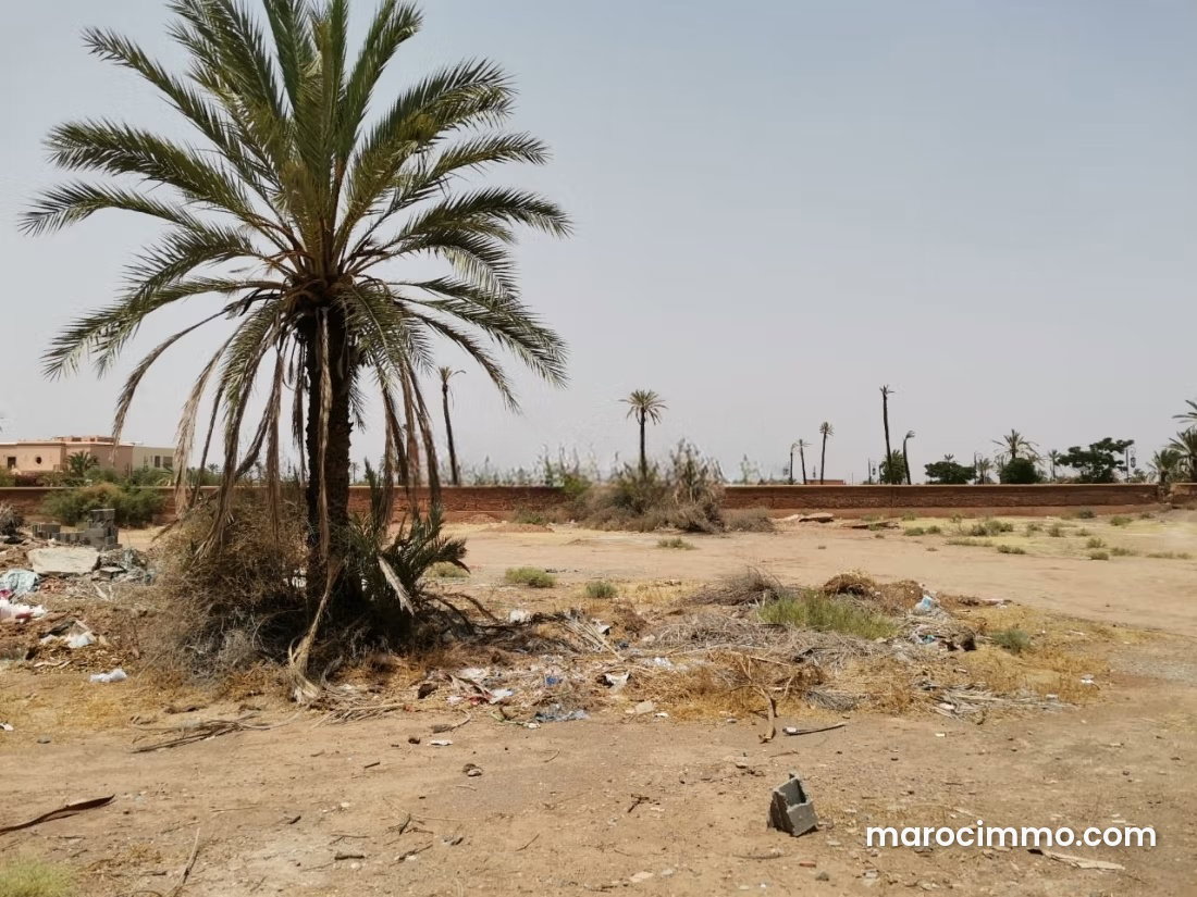 4-Hectare Plot in Marrakech's Palmeraie for a Hotel Project — Marrakesh