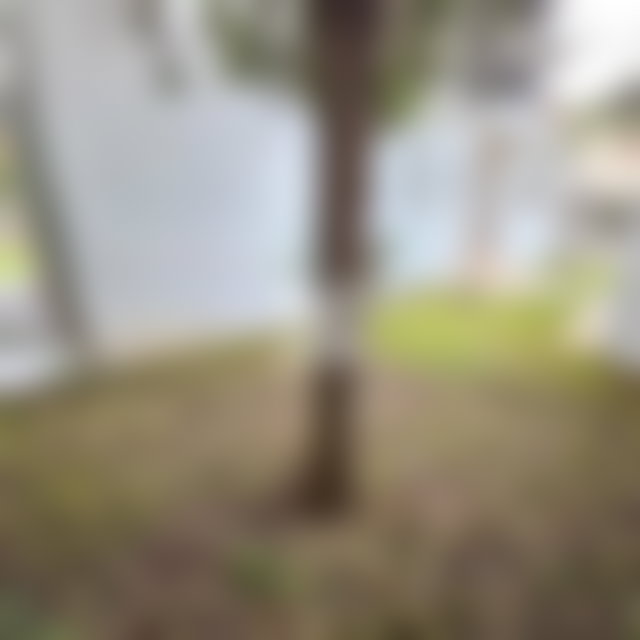 Villa 600 m², 4 chambres, jardin et garage, Californie, Casablanca — 3