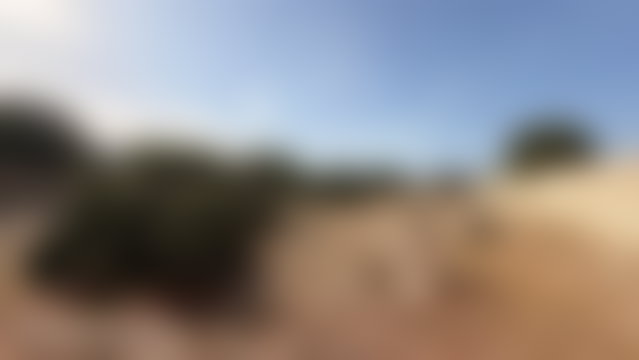 أرض استثمارية 1000 م² للبيع بحي غزوة في الصويرة — 2