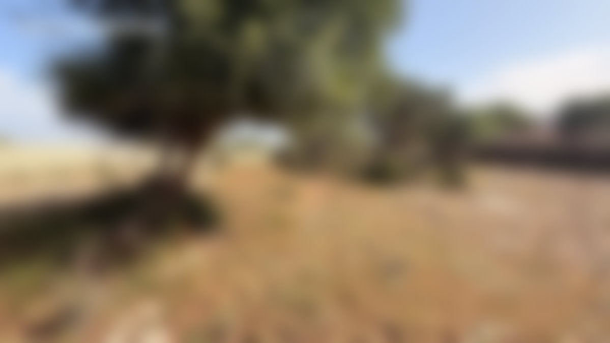 أرض استثمارية 1000 م² للبيع بحي غزوة في الصويرة