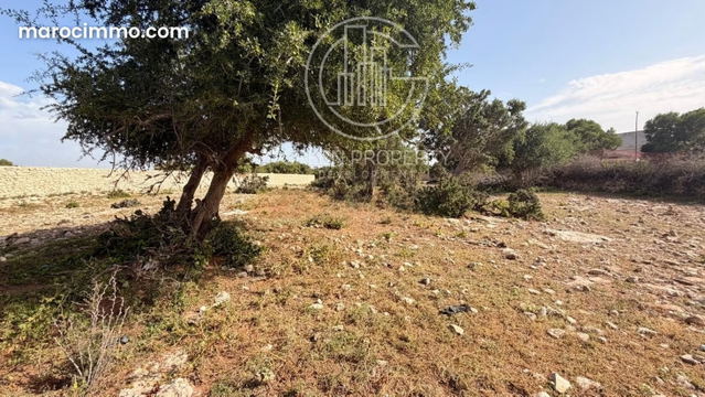 À vendre: magnifique terrain titré de 1000m2 — الصويرة