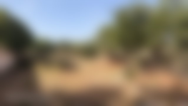 أرض استثمارية 1000 م² للبيع بحي غزوة في الصويرة — 5