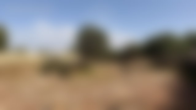 أرض استثمارية 1000 م² للبيع بحي غزوة في الصويرة — 4