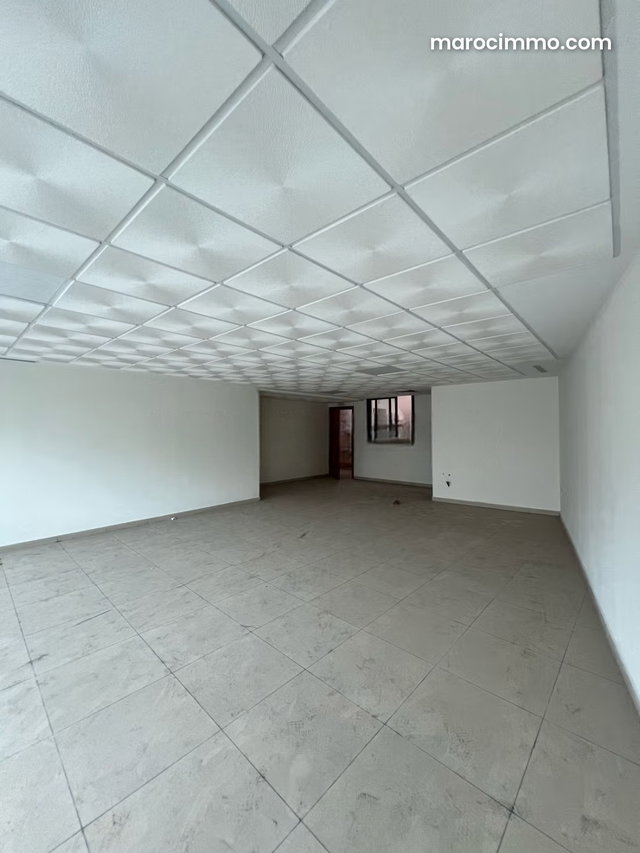 Plateau bureau en location, Plaza torro — 2