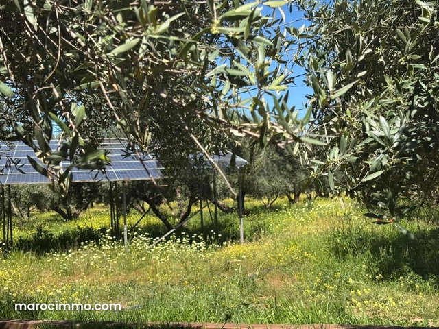 Exceptional Farm on Route de Fez — 2
