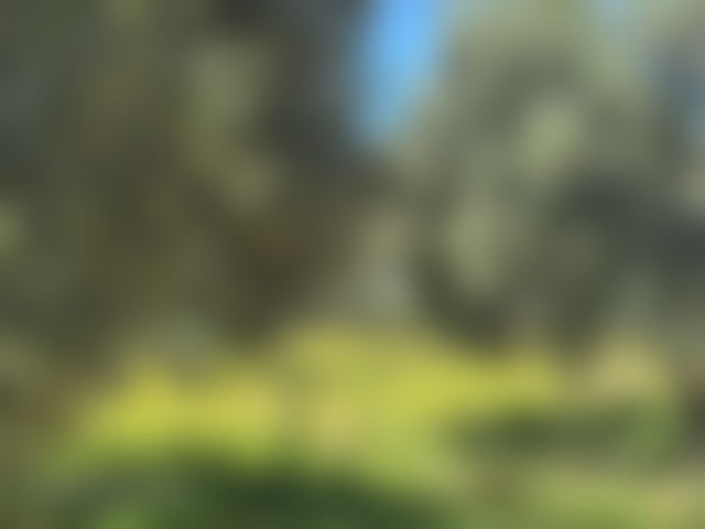 Olive Farm, 24,709 m², Fez Road, Marrakech — Marrakesh