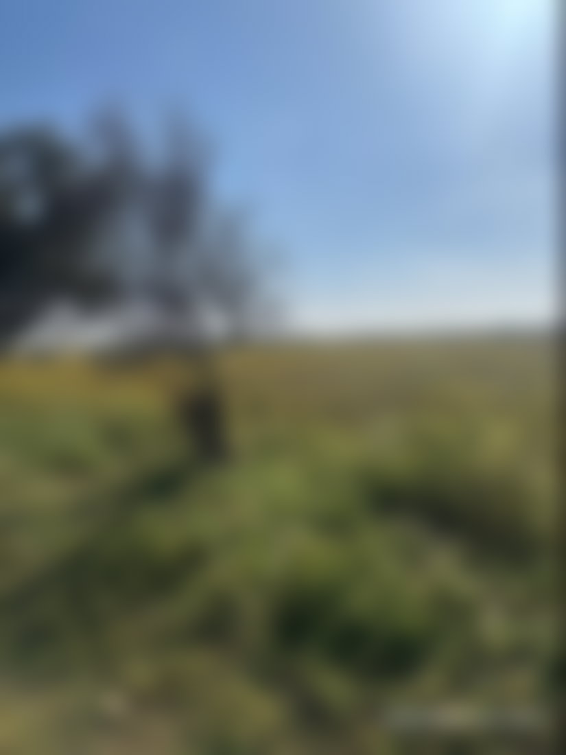 8-Hectare Plot of Land for Sale, Derb Rbat, Mohammedia