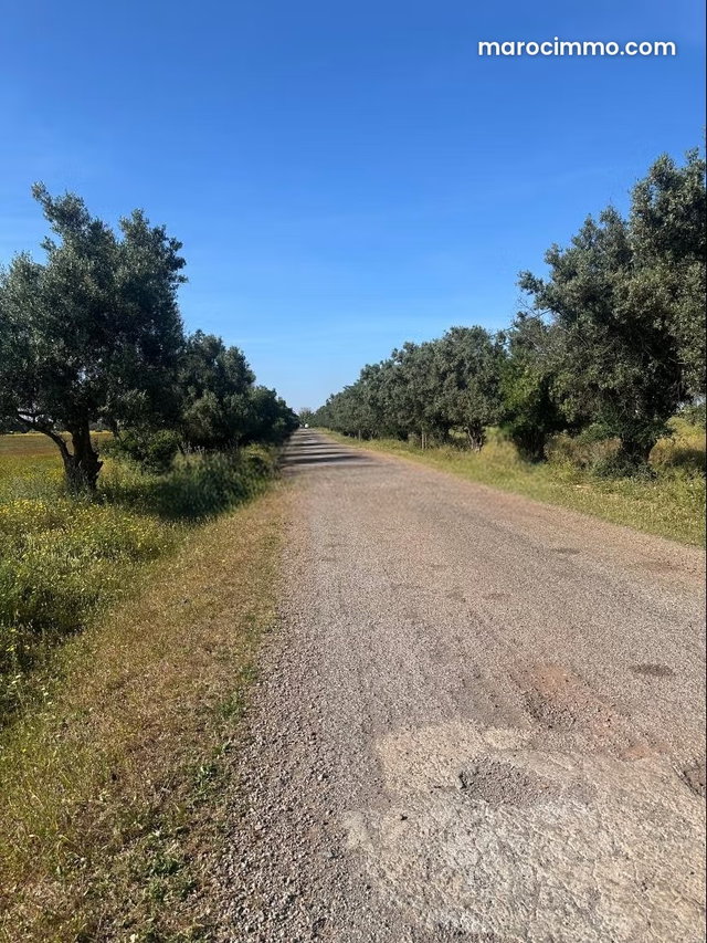 Beau terrain à la vente à Route de rabat. Surface de 80000 m² — 4