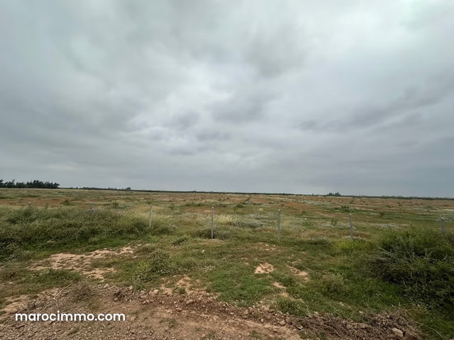 Terrain à la vente à Ennakhil Palmeraie. Surface de 100000 m² — 5