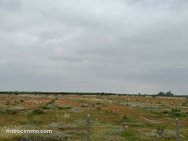 Terrain à la vente à Ennakhil Palmeraie. Surface de 100000 m² — 3