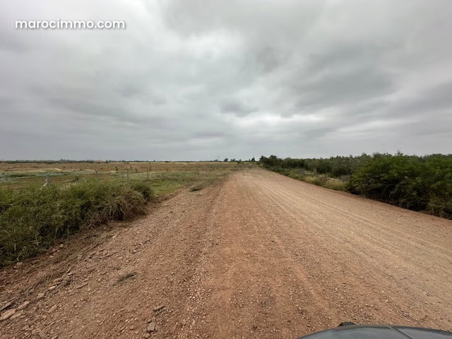 Terrain à la vente à Ennakhil Palmeraie. Surface de 100000 m² — 4