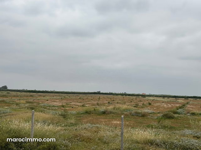 Terrain à la vente à Ennakhil Palmeraie. Surface de 100000 m² — 2