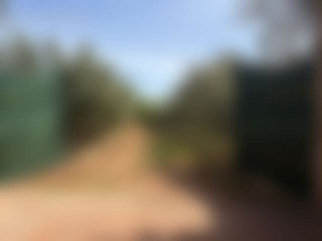 Certified Farm in Ain Sbit, 9,743 m² of Land Ready for Use — Ain Sbit