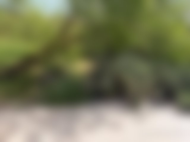 مزرعة جاهزة للاستغلال للبيع بعين سبيت — 2