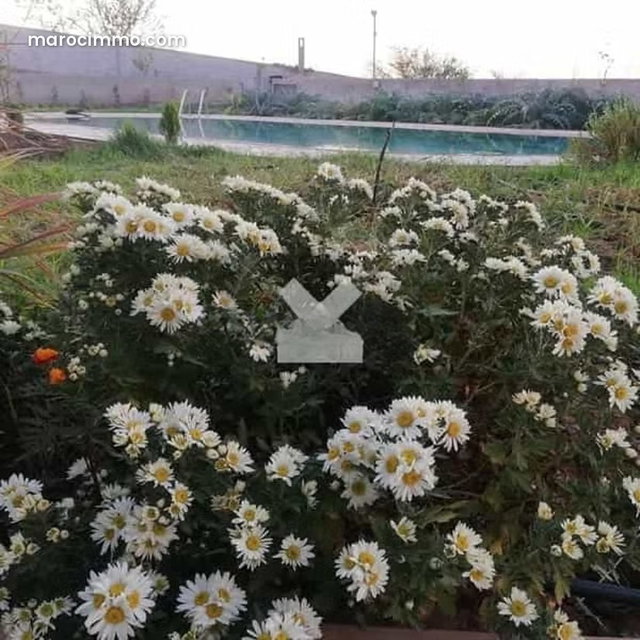 Villa à Vendre de 10238.0 m² à Marrakech, Saada Tissir — 4