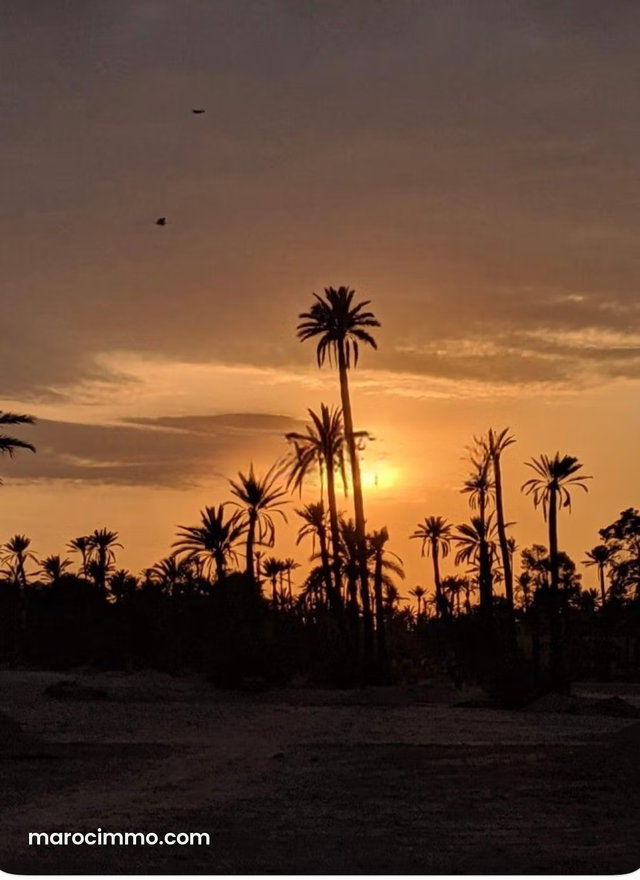 Projet neuf de villas à vendre à la Palmeraie Marrakech — 2