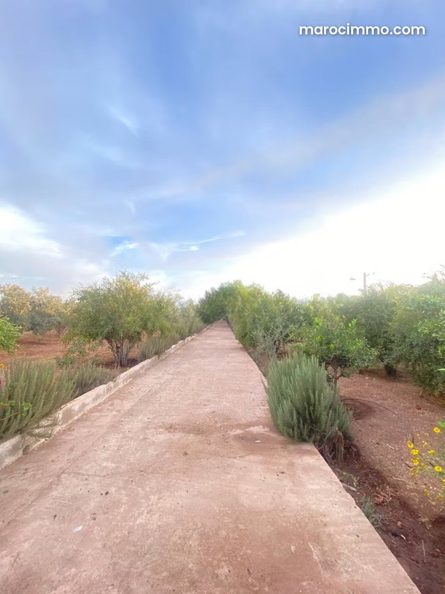 Terrain Titré Agricole 12 700 m² — 3