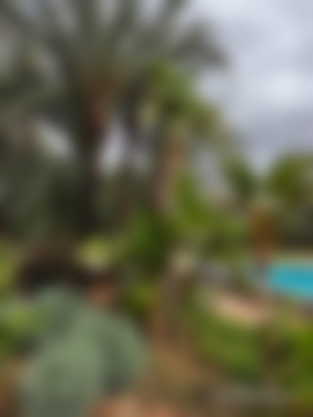 Appartement 126 m², jardin et cheminée, Palmeraie, Marrakech — 2