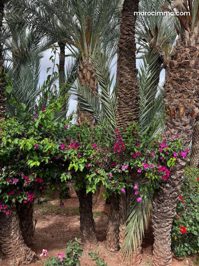 Luxurious Apartment for Sale in Palmeraie with Garden and High-End Amenities — 3