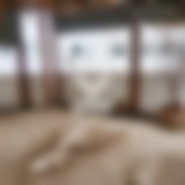 Appartement spacieux à Racine Casablanca 232 m² neuf — 3