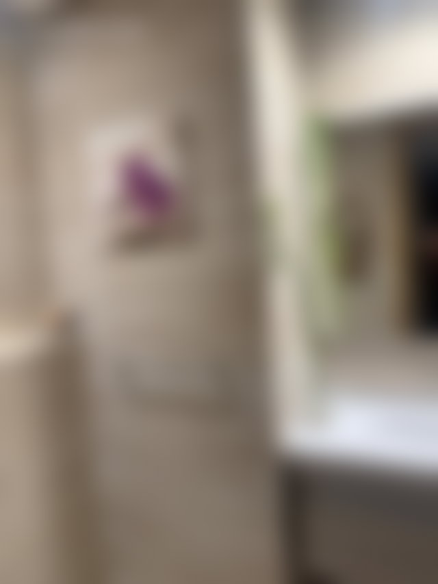 Appartement meublé avec jardin, Souissi, Rabat — 5