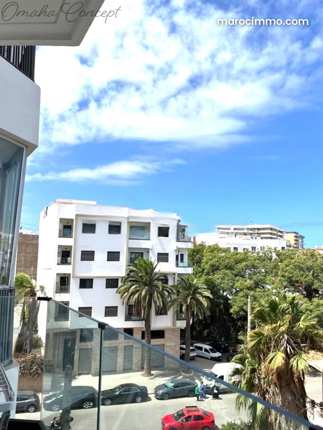 Studio récent meublé 47m2 Balcon garage Palmier — 3