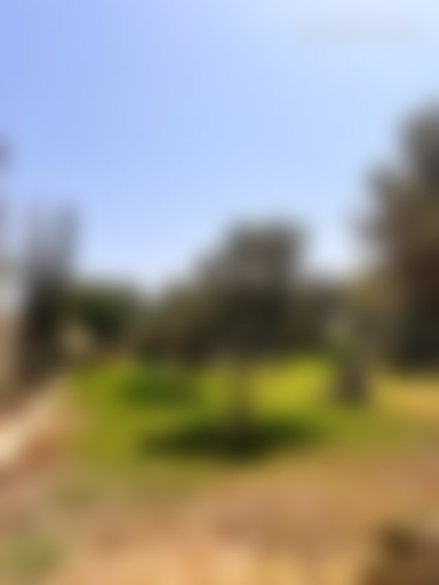 Villa 4 chambres avec piscine, Route d'Agadir, Essaouira — 2