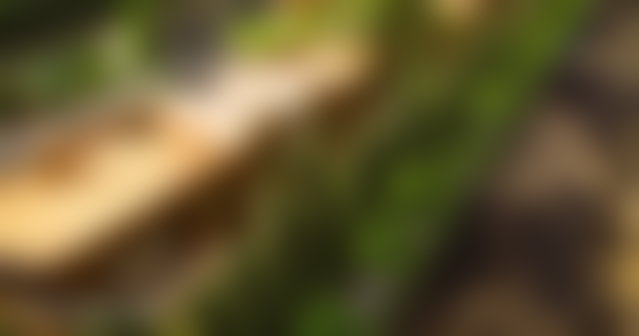 أرض محفظة للبيع بطريق أوريكا في مراكش — 2