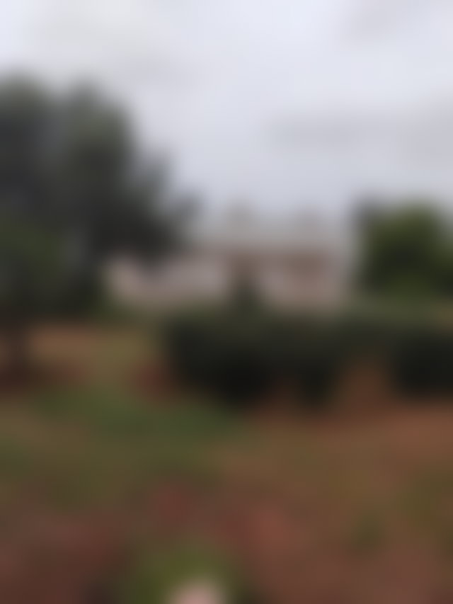 أرض فريدة للبيع بحي لي كريت في الدار البيضاء — 5