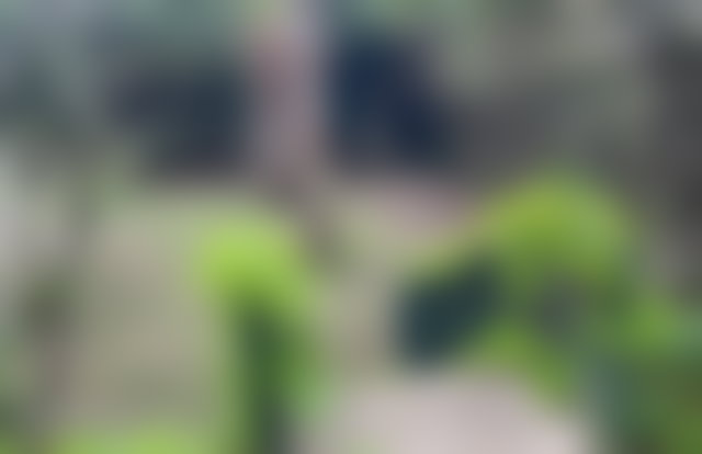 فيلا رحبة للكراء بحي كاليفورنيا في طنجة — 5