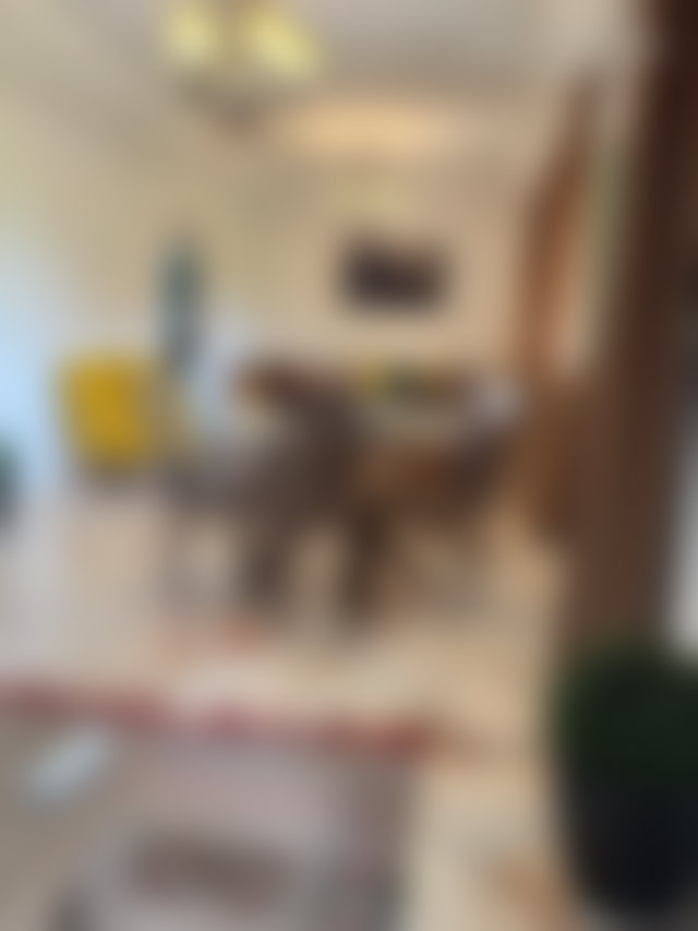 Appartement meublé 130 m², piscine et terrasse, Palmeraie Marrakech — 2
