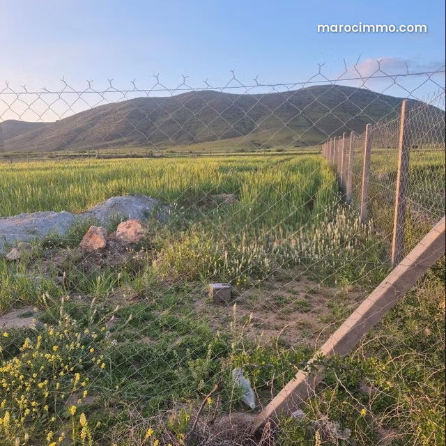 Vente de terrain à Route Casablanca. Surface de 2500 m² — Marrakech
