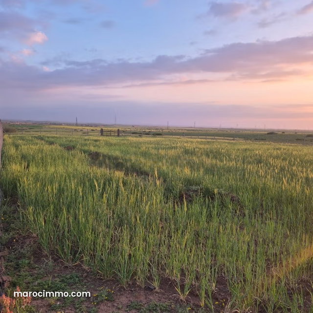 Vente de terrain à Route Casablanca. Surface de 2500 m² — 3