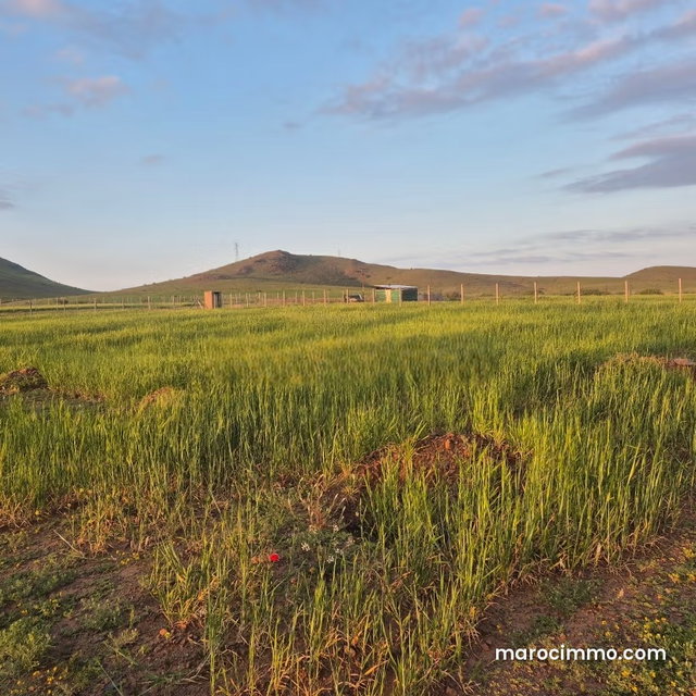 Vente de terrain à Route Casablanca. Surface de 2500 m² — 5