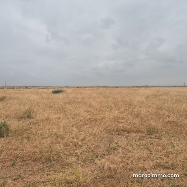 Achat de terrain titré à 10km Route Casablanca. Surface de 40000 m² — 2