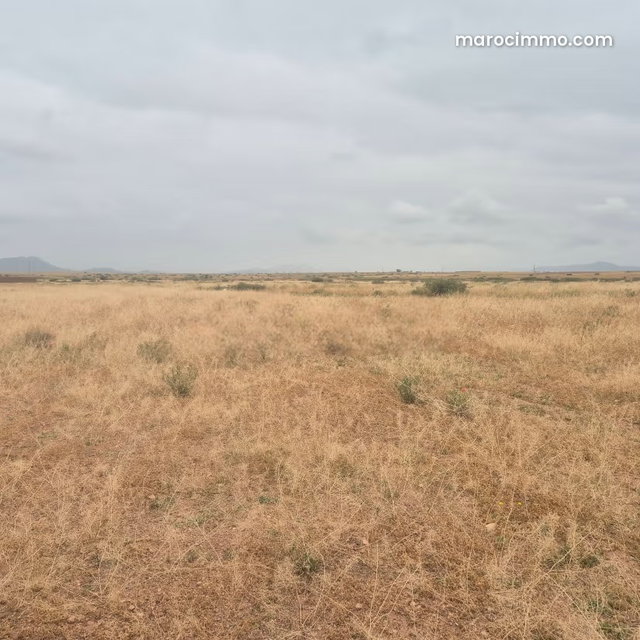 Achat de terrain titré à 10km Route Casablanca. Surface de 40000 m² — 3
