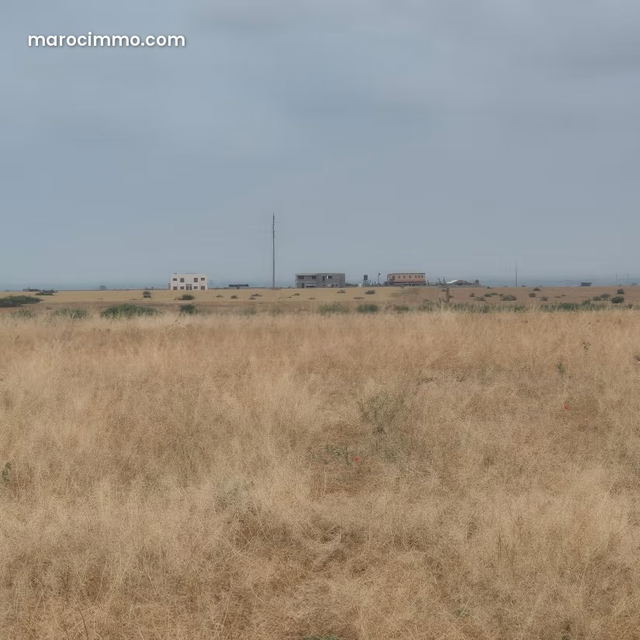 Achat de terrain titré à 10km Route Casablanca. Surface de 40000 m² — Marrakech