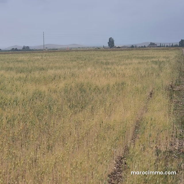Vente de terrain titré à 13km Route Casablanca. Superficie 15000 m² — Marrakech